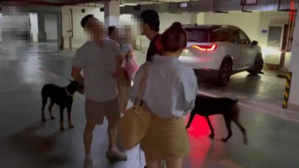 配资炒股给股票 两只杜宾犬没拴绳引发激烈争吵 未牵绳争议升级